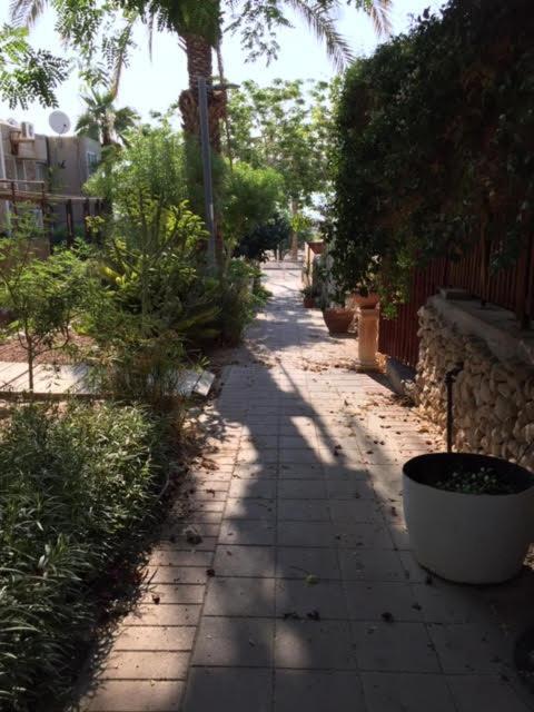 הבית של דרורי Neve Zohar Exterior foto